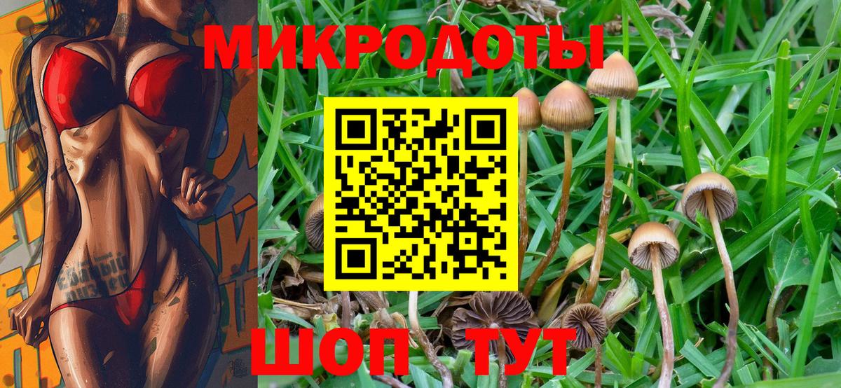 Галлюциногенные грибы мухоморы  Вход с VPN  Губкинский 