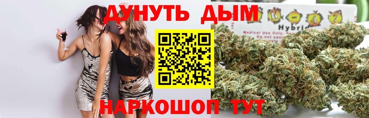 Губкинский  Каннабис Ganja  Марихуана OG Kush  Бошки Шишки семена  Вход с VPN 